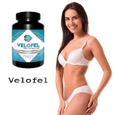 velofel.jpg